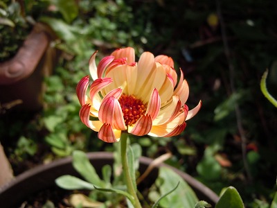 c0117007_21595650.jpg