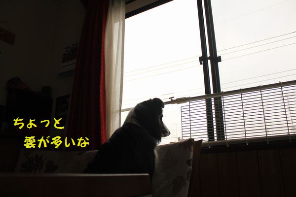 d0224111_1041922.jpg