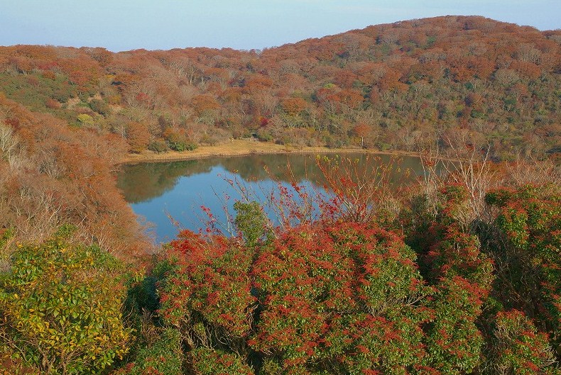 f0182513_22175089.jpg