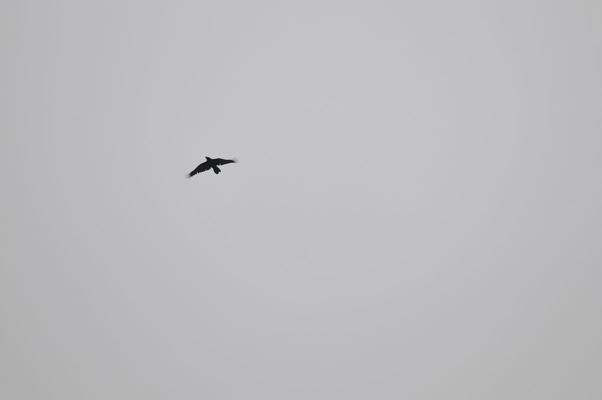f0206417_21125272.jpg