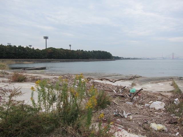 c0225420_2045430.jpg