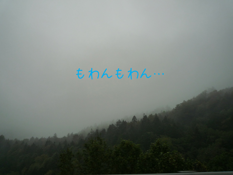 b0146024_21544261.jpg