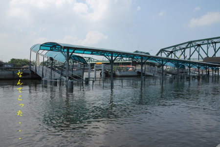 d0042827_1174688.jpg