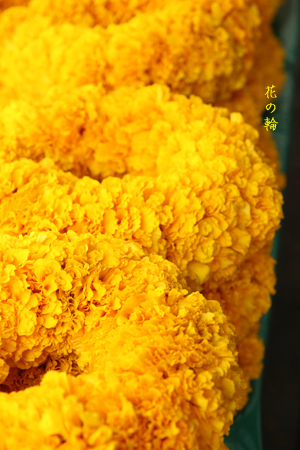 d0042827_119291.jpg