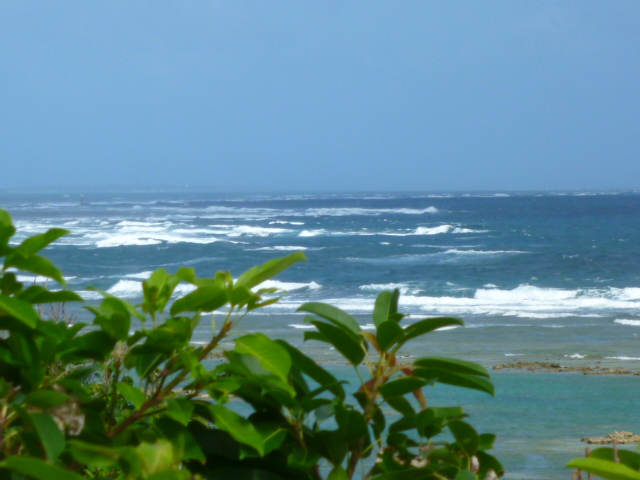 e0002927_20374798.jpg