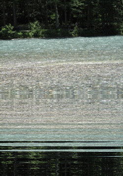 b0197630_22131181.gif