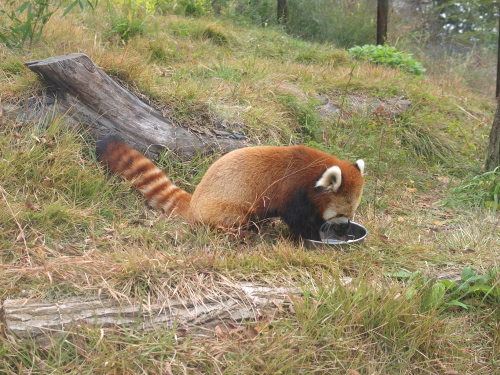 d0246430_2063350.jpg