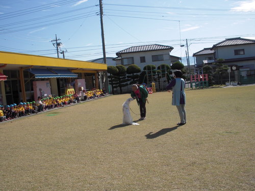 c0114833_22321816.jpg