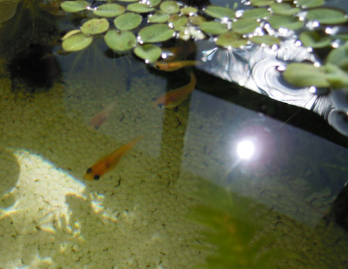 e0097534_18432958.jpg
