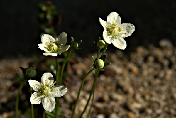 f0214649_17405242.jpg