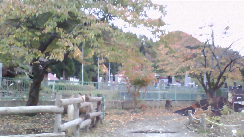 d0232151_8484083.jpg