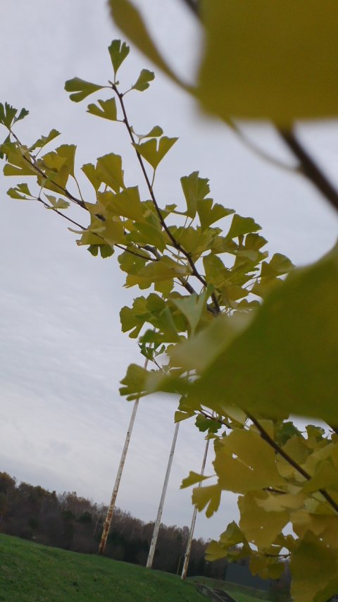 e0150852_22323962.jpg