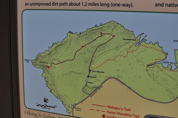 e0138560_2125090.jpg