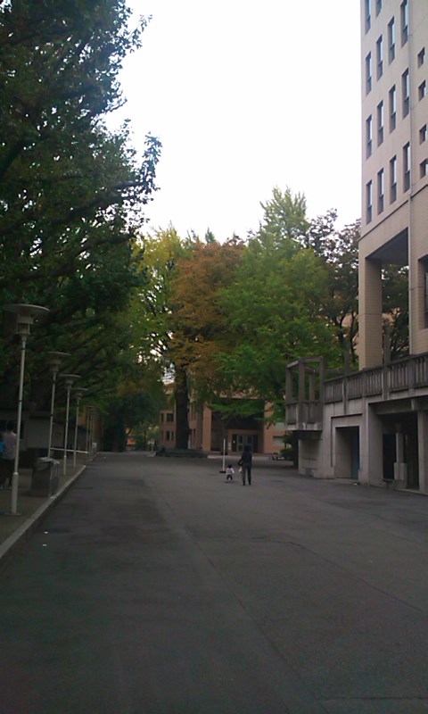 d0158464_19183925.jpg