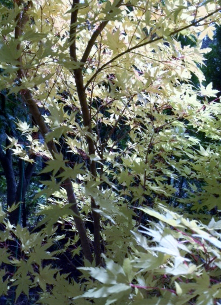 e0151566_1954649.jpg
