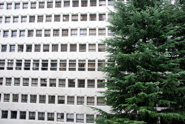 b0174068_0371623.jpg