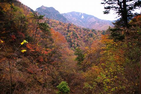e0045768_2273731.jpg