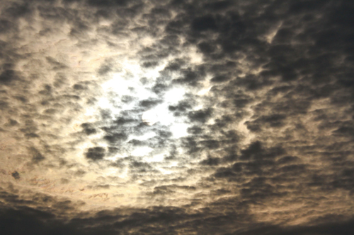 a0157069_9581496.jpg