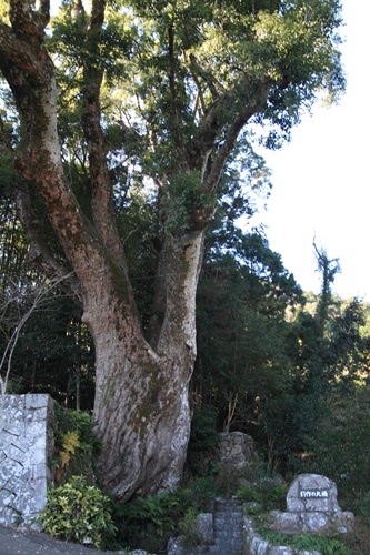 b0138370_1962767.jpg