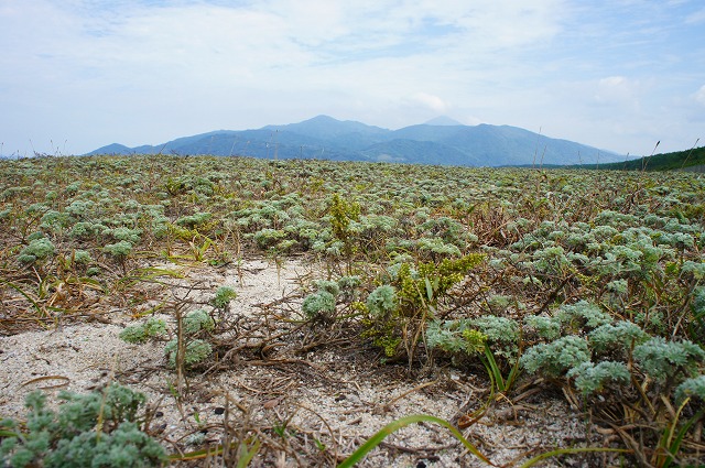 c0215970_21223345.jpg