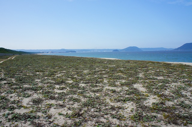 c0215970_21235622.jpg