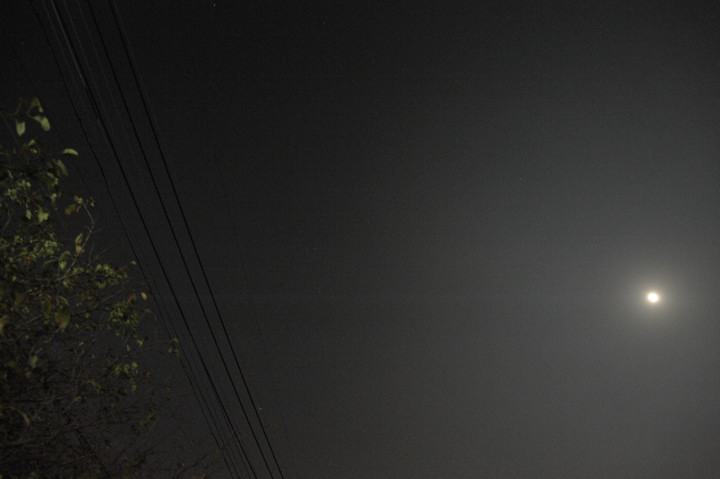 b0102780_18252656.jpg