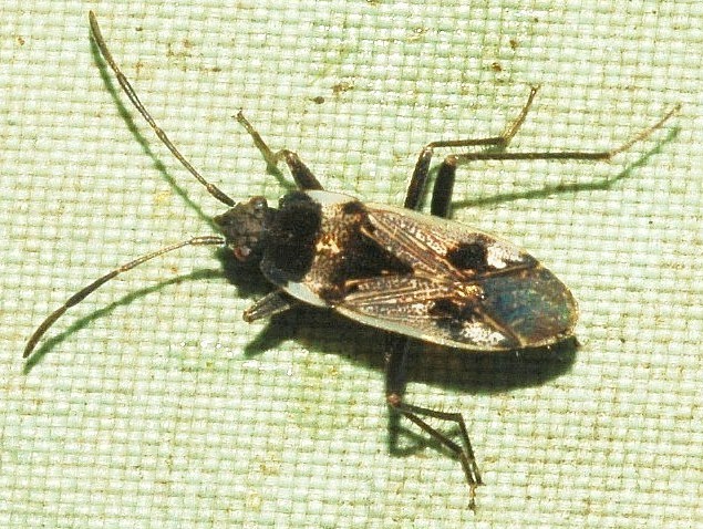 e0015780_13512190.jpg