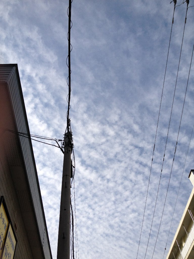 c0221584_4412610.jpg
