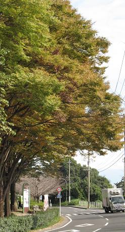 e0130185_16355424.jpg