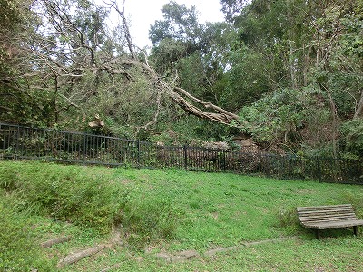 e0123587_1942498.jpg