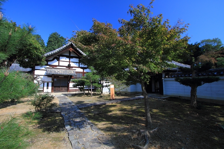 e0051888_4244515.jpg