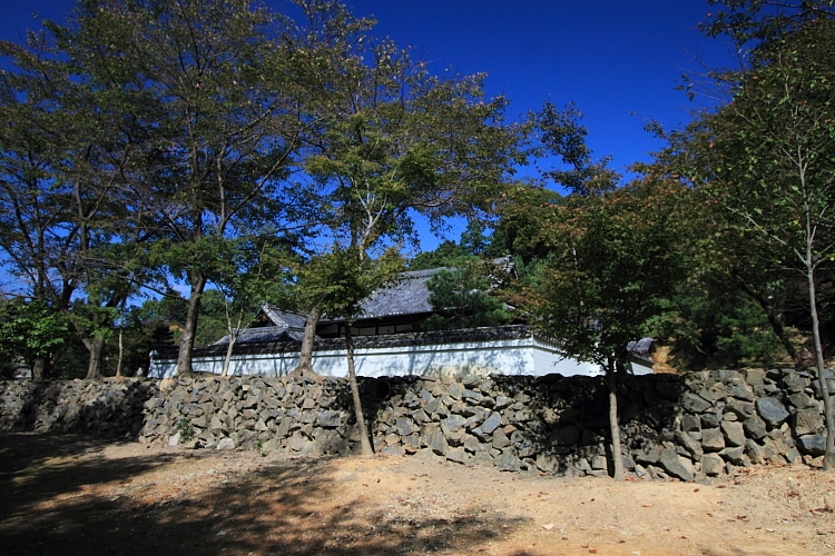 e0051888_4332954.jpg