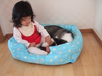 a0079990_251189.jpg