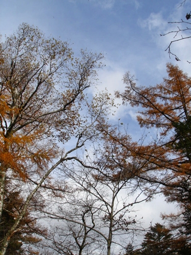 d0125890_1921015.jpg