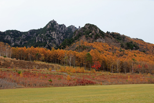 b0151893_20441561.jpg