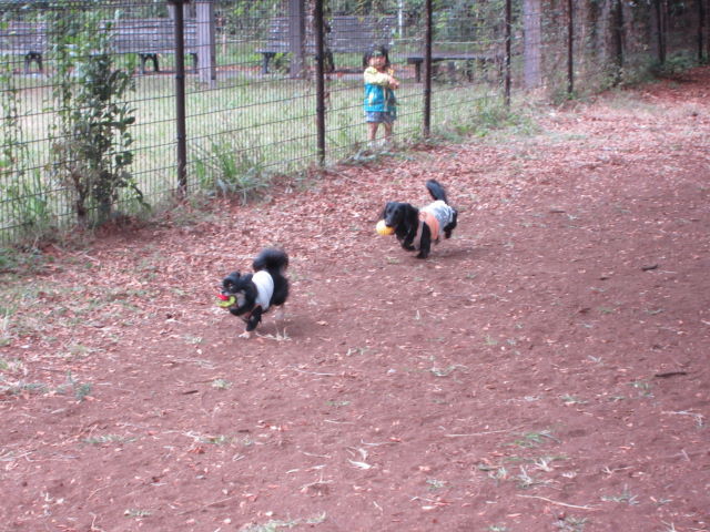 d0098295_22561987.jpg
