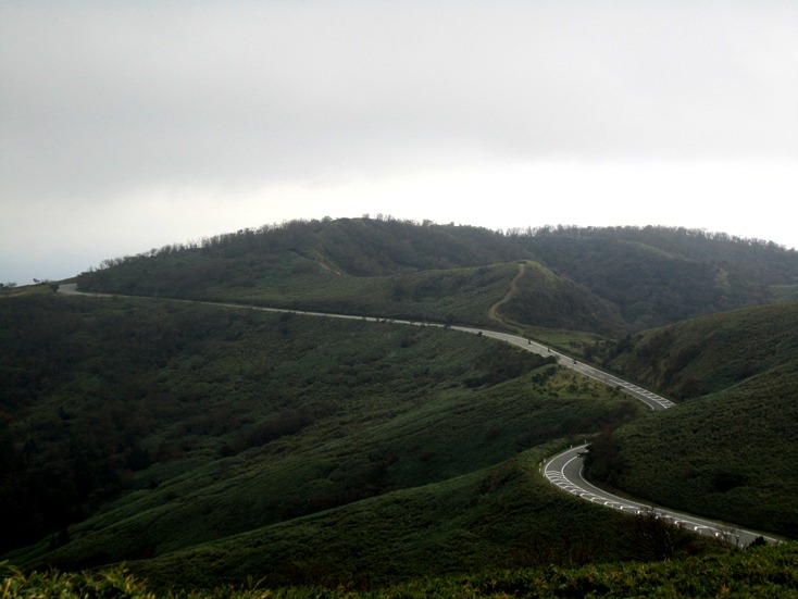b0192199_101254.jpg