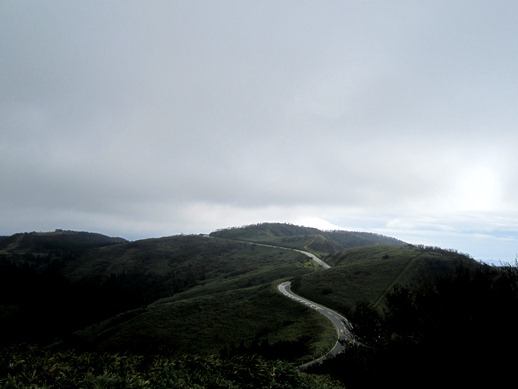 b0192199_10192919.jpg