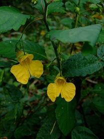 b0166100_8364869.jpg