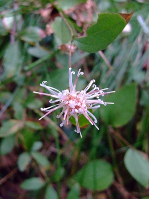 b0166100_8381641.jpg