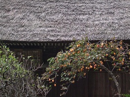 b0166100_840422.jpg