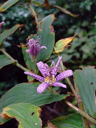 b0166100_847237.jpg