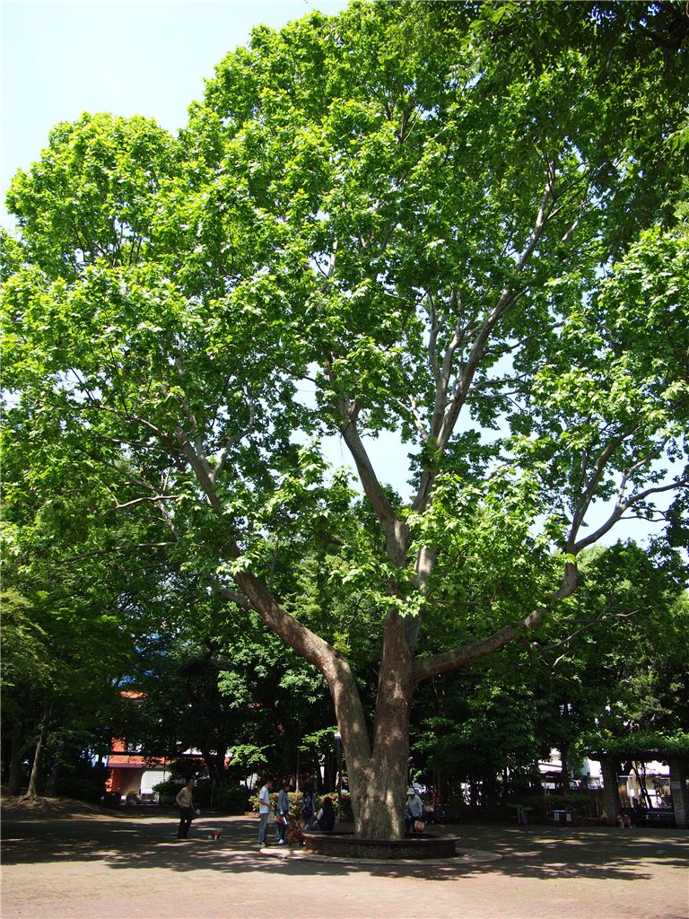 f0224100_2238179.jpg