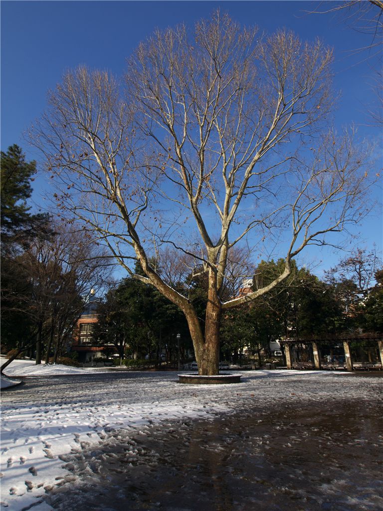 f0224100_2241293.jpg
