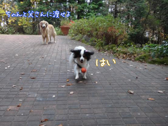 f0064906_16132741.jpg