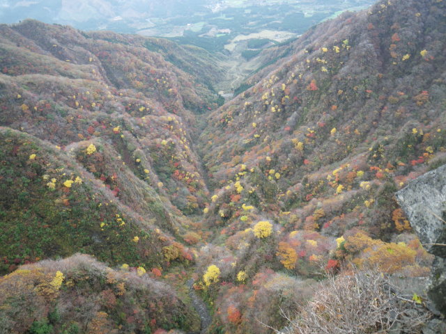 d0006512_22424833.jpg
