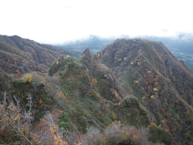 d0006512_22485493.jpg
