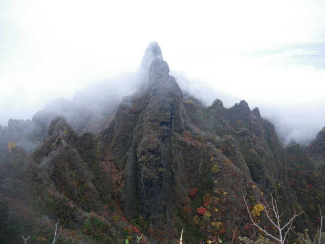 d0006512_231563.jpg