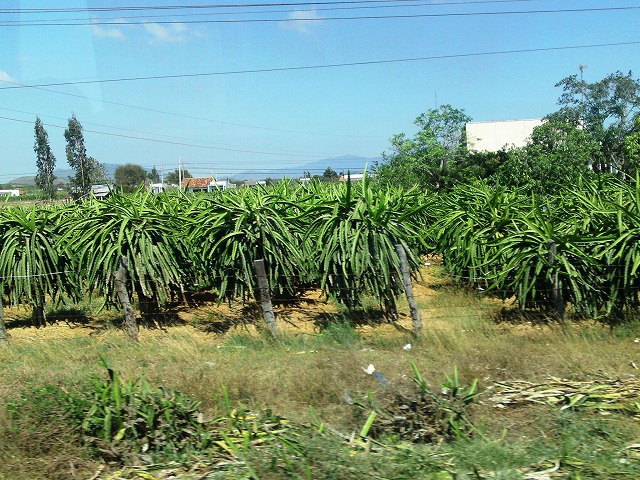 a0000014_143912.jpg