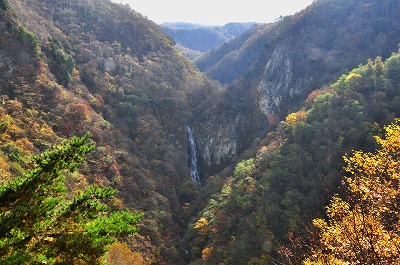 d0070920_21211176.jpg
